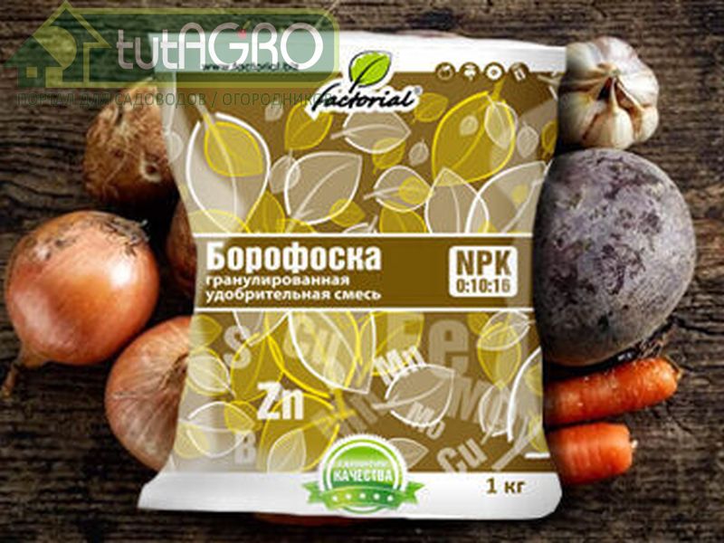 11 фактов о Борофоске - AGROzen