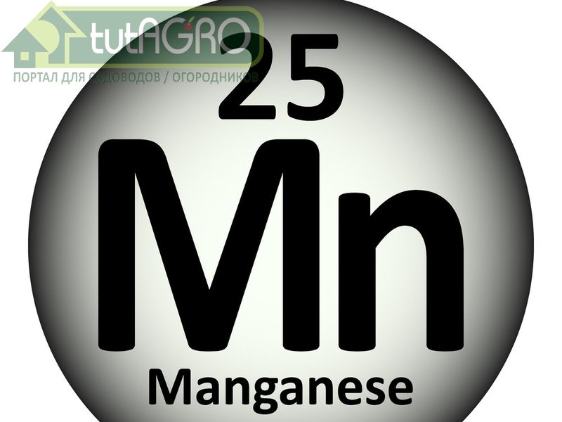 Марганец нужен всем - AGROzen