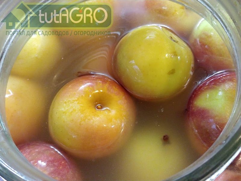 Яблоки моченые по рецепту Ивана Русских - AGROzen